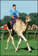 Der Sieger des Tages