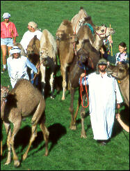 "Mütter und Kinder"